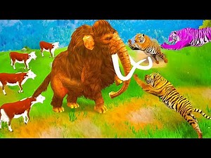 Woolly Mammoth Fight with 3 Zombie Tigers to Rescue Save Cow Cartoon from Tiger Attack
