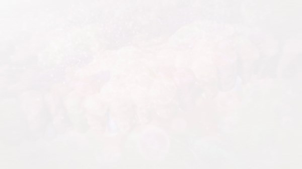 MAT-GLB-2401302_COPD MOD Video_30March2026_IMsci