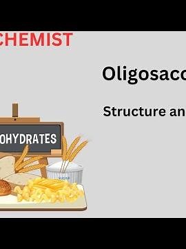 Oligosaccharides Structure and Function| Carbohydrates| Class 11 biology| MDCAT| Biochemistry|