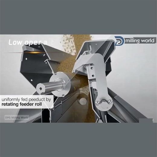 High-Performance Roller Mill Machine | Flour Mill Equipment | DPG Milling World