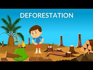 Deforestation | Animated Video | Bahria University Islamabad | BU Media Corner
