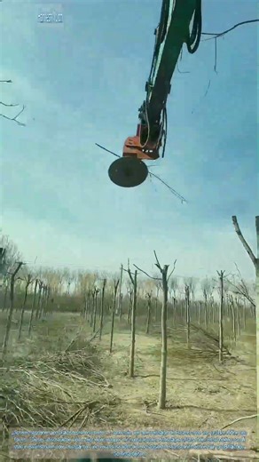 Baumschnitt! Baumschnitt mit dem Bagger