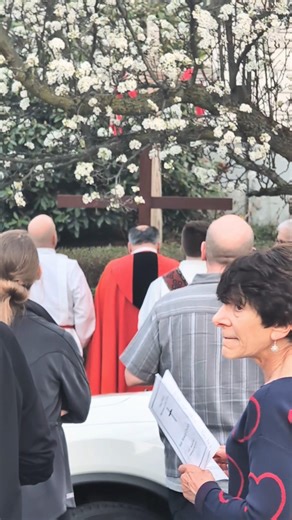 A GOOD Friday in early Spring Bloom🙏🌹🌻🦋#goodfriday #lentseason #easter