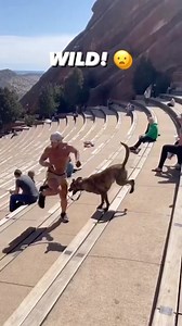 REVERSE 😳 Creator @allan_hirsch | Gym Legends