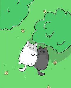 Someone will love you wholeheartedly 會有人全心全意愛你的❤️ | My Emotional Support Animal