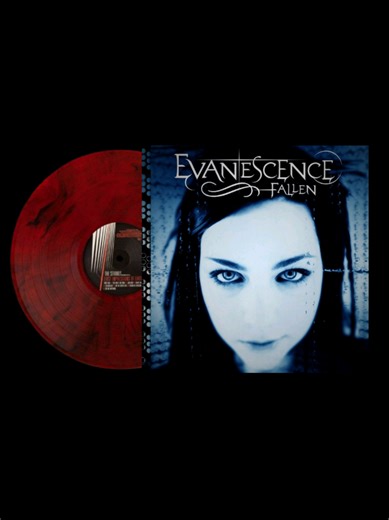 Bring Me To Life: Evanescence Lyrics Video