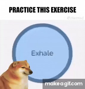 cheems breathing exercise on Make a GIF