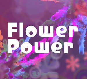 18 reactions · 4 comments | Shadowbox Live shares the joy with Flower Power, celebrating the influence of hippie culture, and the music that inspired the greatest political and social movements of our time. Catch the show tonight at 8:30pm, outdoors on the Bicentennial Stage at the Columbus Arts Festival. And as a bonus, the performance is free! | ShadowboxLive | Facebook