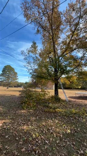Sebastian Roche on Reels