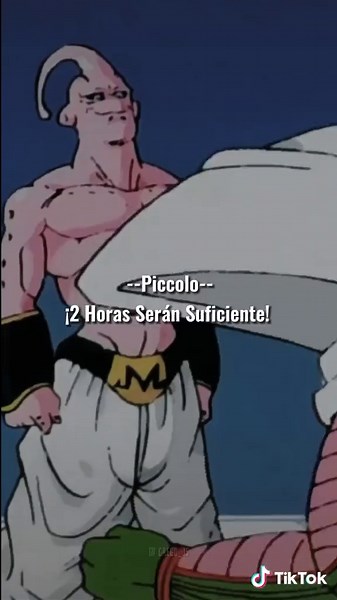 La Pelea Entre Mister Satan y Majin Boo: Parte 2