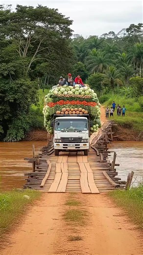 This video was created using artificial intelligence (AI). 🎬 This content is for entertainment purposes only and not a real event. ⚠️ Wooden bridges aren’t built to handle excessive weight — avoid crossing with heavy loads to prevent collapse and serious accidents. #HeavyTruck ​ #WoodenBridge ​ #AIVideo ​ #CinematicShorts ​ #RoadSafety ​