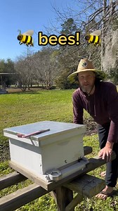 18K views · 313 reactions | Bees! Part 1 of beekeeping for beginners #bees #beekeeping #honeybees #honey #beehive | James Weston | Facebook