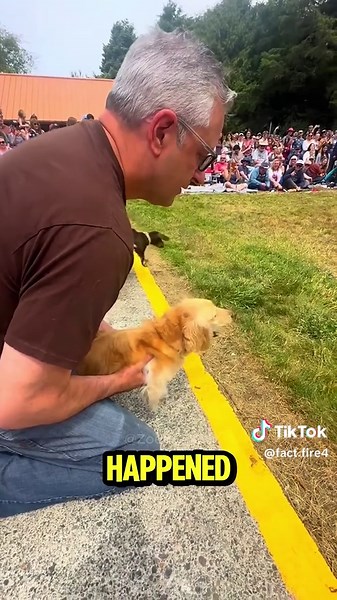 Dog's Hilarious First Race Experience
