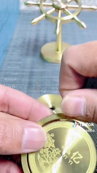 Fly rabbit on TikTok