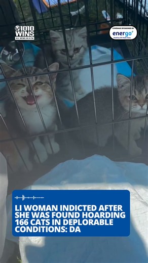The 166 cats were brought out in cages from the Glen Cove home where they were being kept in deplorable conditions, as described by Nassau County District Attorney Anne Donnelly. 🎤 Sophia Hall reports 📹 Sophia Hall 🔊 Tune into 1010 WINS AT 92.3 FM for more local news #nyc #newyorkcity #news #localnews #longisland #glencove #nassaucounty #animalwelfare #animalabuse #indictment #nassaucountyda #longislandnews #newstok