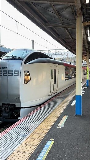 JR横須賀線E259系 特急成田エクスプレス 成田空港行 大船駅発車