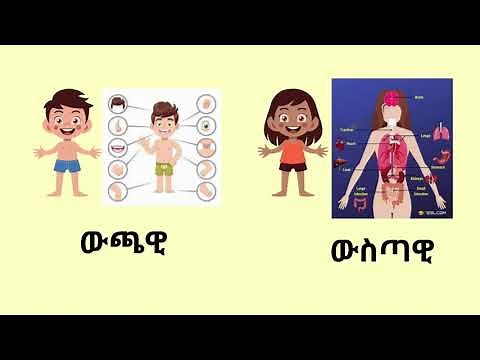 የሰውነት ክፍሎች በአማርኛ/ body parts in Amharic