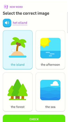Learning Dutch with Duolingo | My Daily Dutch Practice #shielapiet #selfstudy