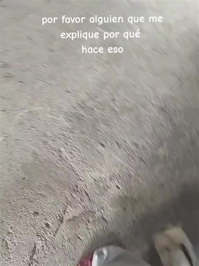 Significado del comportamiento de los conejos