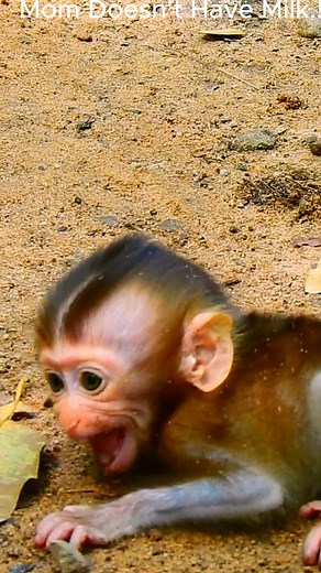 World Comedy on Reels