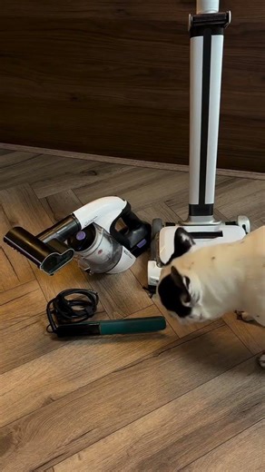 The ultimate collection for any home!! #shorts