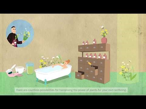 Understanding Kneipp: Kneipp philosophy