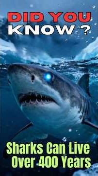 Did You Know? Some Sharks Can Live for Over 400 Years #didyouknow #sharkfacts #sharks
