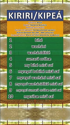 THIS LANGUAGE DIED IN THE 1900s #indigenous #brazil