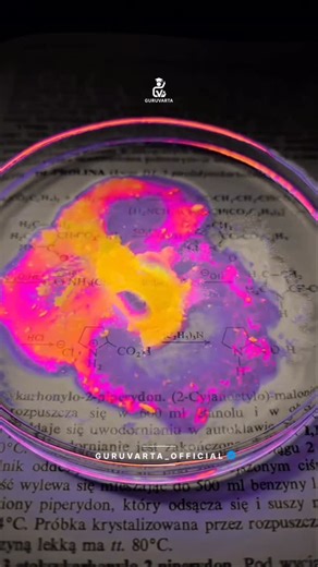 GuruVarta: Transforming Indian Education System on Instagram: "This video demonstrates the scientific phenomenon of fluorescence, where chemical substances absorb invisible energy and re-emit it as vivid light. The scene is lit by a UV (ultraviolet) lamp, which provides high-energy light that “excites” the molecules of the dyes being injected—likely fluorescein for the yellow-green glow and rhodamine for the pink and purple hues. As these liquids are introduced into the petri dish, they undergo