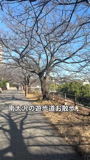 南大沢の遊歩道で心温まる散歩