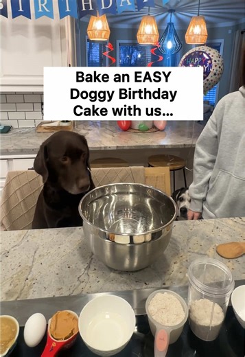 Homemade Dog Birthday Cake Recipe for Arlo 🎉