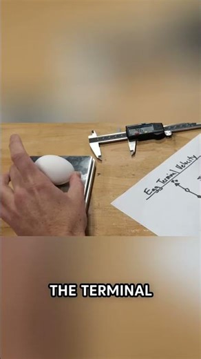 Cracking the Egg Drop: Terminal Velocity Explained #shorts