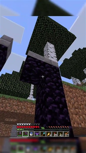 Can You Spot What's Wrong In This Minecraft World??? | Part 102