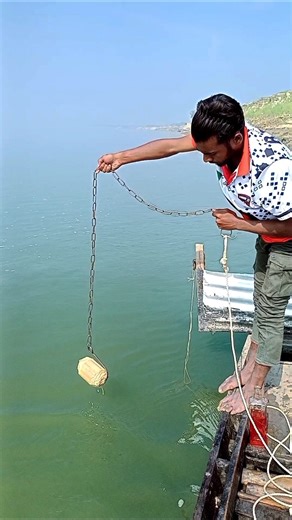 Attracting Big Fish Using Secret Bait on Hook | Secret Fishing Method #bait #fishing #bigfish #hook