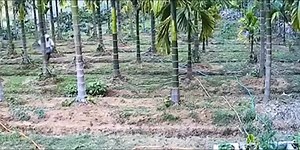 Unexpected Encounter: Elephant Surprises Farmer