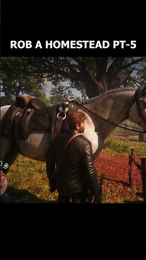 Rob a Homestead #shorts #rdr2 #viralvideo #gaming #youtubeshorts 2