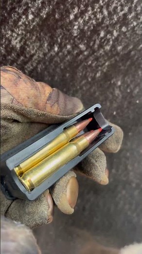 Mossberg Patriot .308 — Vortex Scope + Hornady Ammo #Mossberg #deer #whitetail #Vortex #hunting