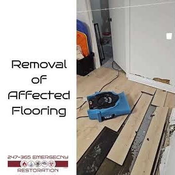 🚨 Flooded Basement After Burst Hot Water Tank | Emergency Water Damage Cleanup | 247-365 Restoration
