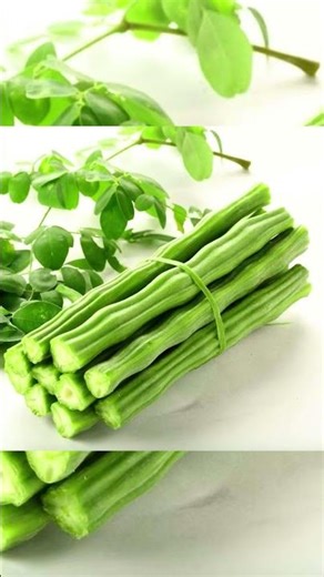 शेवगा खाण्याचे फायदे मोरिंगा खाने के फायदे Health Benefits of Moringa