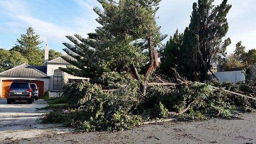 Tornado tears through Perth's western suburbs, damaging homes and uprooting trees