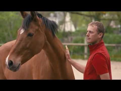 Objectif Galop® 1 : Aborder son cheval