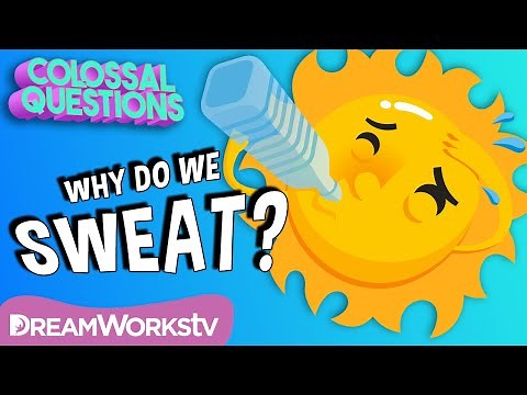 Why Do We Sweat? | COLOSSAL QUESTIONS