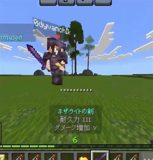 Java vs Bedrock Minecraft PvP 9