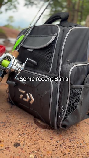 Some good ones #fishing #barramundi #irukanji #viral #comment #views @far.north.fisho