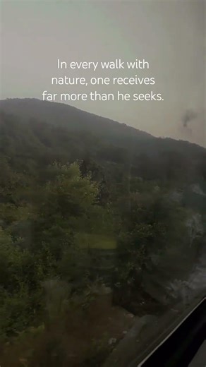 Art takes nature as its model ✨️ 💖 #art #nature #naturalistic #shorts