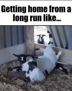 36K views · 254 reactions | If you're training for a spring marathon,...