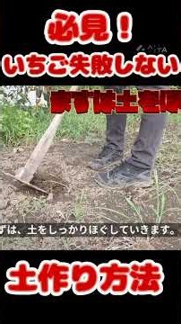 必見！失敗しないイチゴの土作り #イチゴ #土作り #家庭菜園