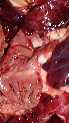 fresh pork meat #fresh #pork #meat