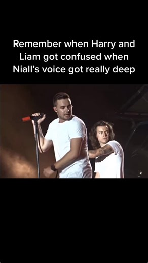 One Direction Funny Moment: Harry and Liam Confused by Niall's Deep Voice
