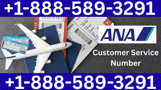 {Official} ANA Airlines™® Customer Service Simple Guide | Step-by-Step Help & Support Explained